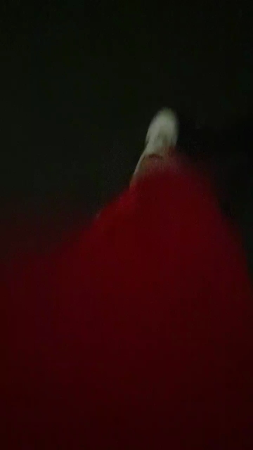 Oktopussyy 20-08-2021 Wet 